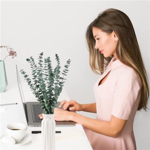 10Pcs Dried Eucalyptus Stems 17" Real Eucalyptus 100% Made From Fresh Eucalyptus - Picture 4 of 6